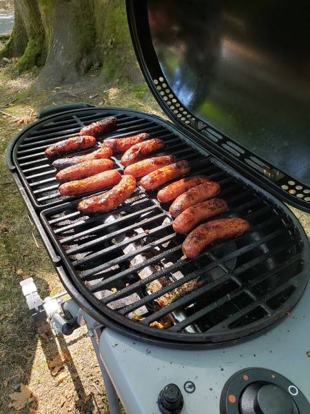 2025 picnic